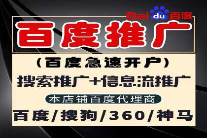 sem运营公司：效果为王的策略
